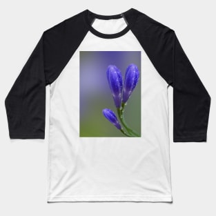 Agapanthus Baseball T-Shirt